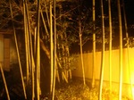 0717-15.jpg